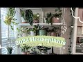 🪴 My 2023 Houseplant Collection (Some Are Struggling😅)