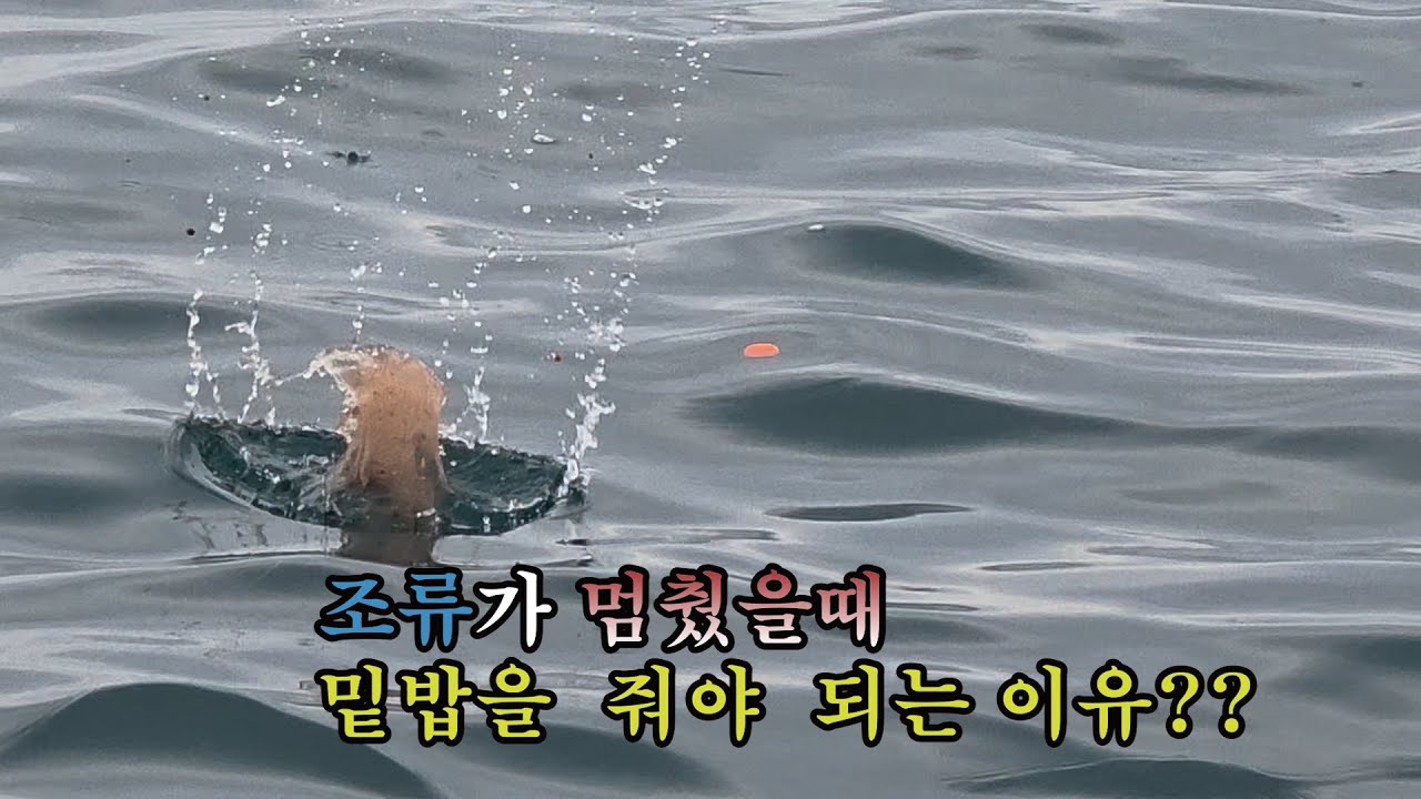 조류가 멈출때 밑밥을  줘야 되는 이유?