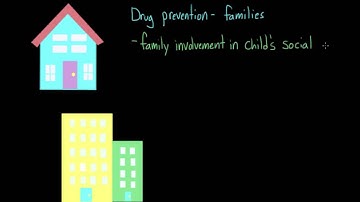 Drug use prevention: school programming and protective factors