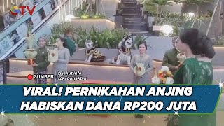 Viral! Pernikahan Anjing di Jakarta Habiskan Dana Rp200 Juta - BIM 17/07