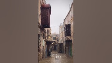 ونريد أن نمنّ على الذين استُضعِفوا في الأرض ونجعلهم أئمة ونجعلهم الوارثين ، سورة القصص #المصحف