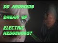 Do Androids Dream Of Electric Hedgehogs?