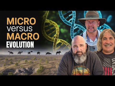 What’s the REAL Difference Between Micro and Macro Evolution?