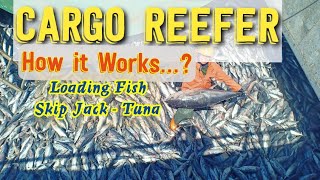 CARGO REEFER _ HOW IT WORKS _ Gambaran Kerja Kargo Reefer