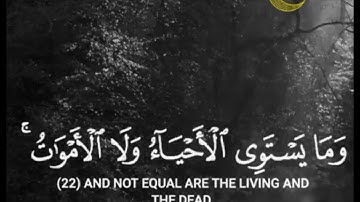 ستوريات دينيه/وما يستوى الاعمىٰ والبصير ولا الظلمـٰت ولا النور /حالات واتس آب قرآن/آيات قرانية قصيرة