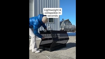 ImpactDog Vanessa WhyUpgradeSpringSale30V2 Video C3 H2 38s 4x5   Augusta mov