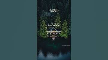 قران كريم بصوت الشيخ سيد سعيد #quran #اكسبلور