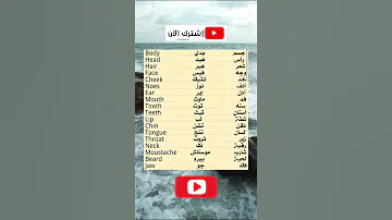 اعضاء الجسم بالانجليزي تعلم اللغة الإنجليزية من الصفر انجليزي 
