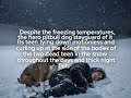 The Pitbull Who Guarded His Owner Till the Very End in the Snowy Himalayas Mountains