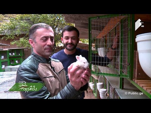 მუსიკოსი ფერმერი და ნოტებივით აწყობილი მეურნეობა - რჩევები წარმატებული მებოცვრისაგან