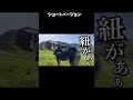 【切り抜き】テントがぶっ壊れて柴犬もブチ切れる修羅場なキャンプ(ぶち切れ編)