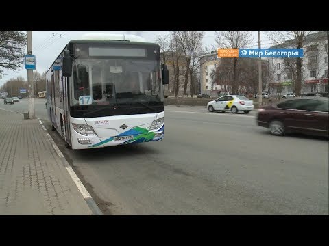 Ночные маршруты появятся в Белгороде