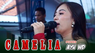 CAMELIA - AYU WD - KOPLO DANGDUT CARAKA BHAYANGKARA