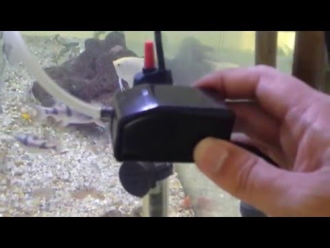 Vídeo: Por que usar um borbulhador em um aquário?