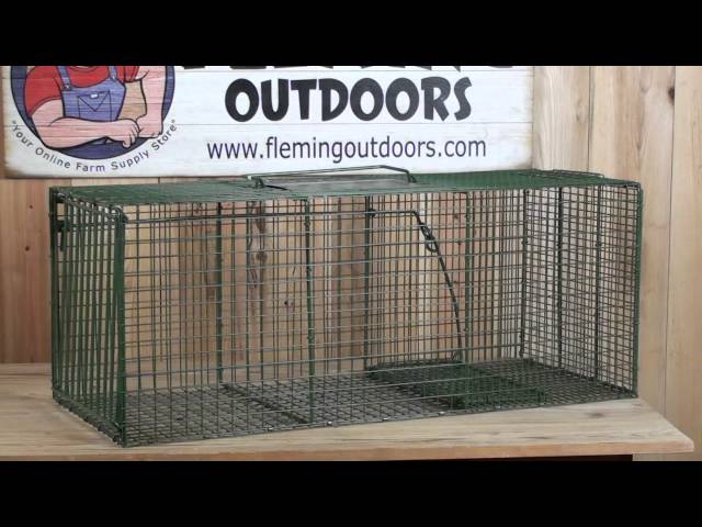 Duke Company Heavy Duty Live Animal Cage Trap, Green