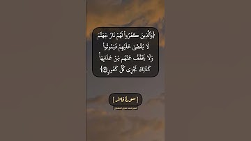 سورة فاطر الآية ٣٦ و ٣٧ بصوت الشيخ محمد صديق المنشاوي