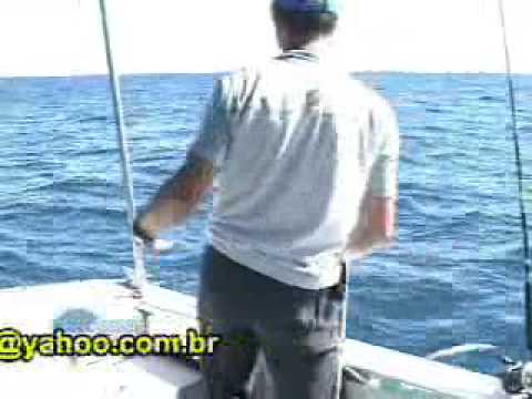 Pesca Dinmica - Pesca De Peixes Espadas E Bagre Gigante Na Regio De So Francisco Do Sul SC
