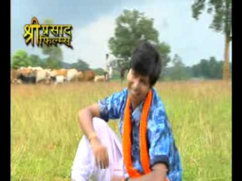 Bastar hilbi song  mocho mann bhawra Dharemendra Mahapatrampg