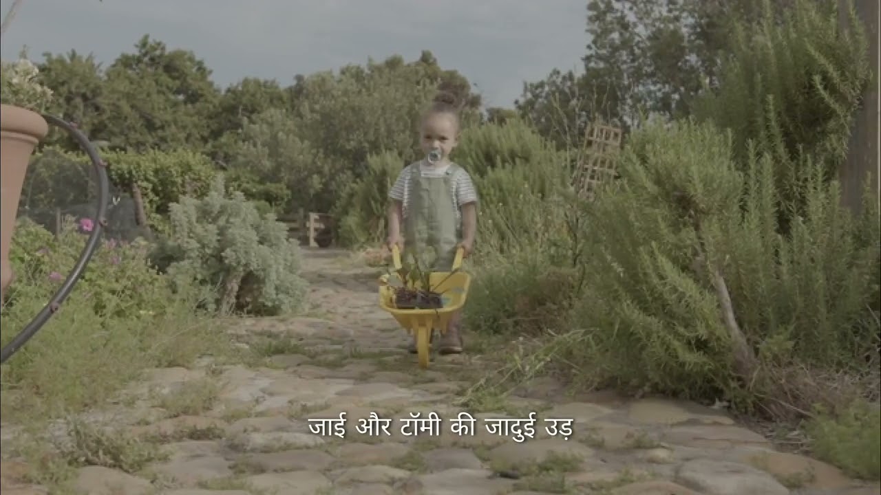 The wisdom of the rabbit