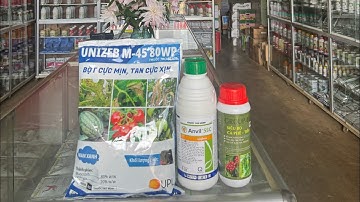 THUỐC RỈ SẮT,VÀNG LÁ,NẤM HỒNG TRÊN CÂY CÀ PHÊ#cay#càphê#thuocbvtv#nongduoc#nongdan# TUẤN HẰNG 3