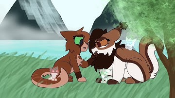 Who you are / part 7 / MapleShade and ReedShine MAP