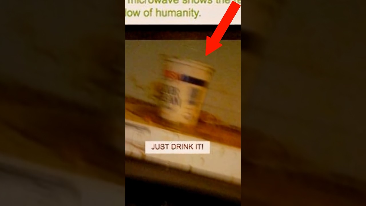 The Legend of 4Chan’s Fridge Bro