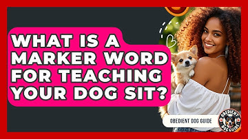 What Is A Marker Word For Teaching Your Dog Sit? - Obedient Dog Guide