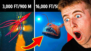 3D Journey to the Ocean DEPTHS!