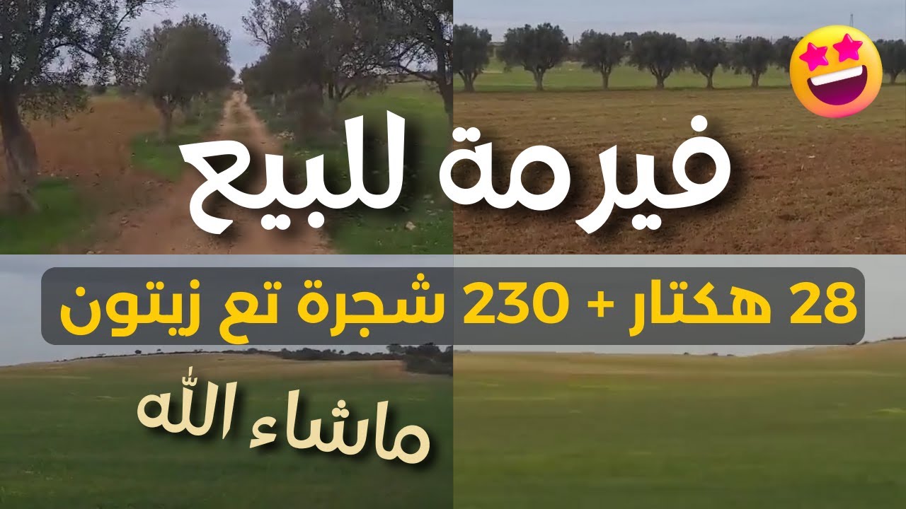 فيرمة ولا أروع 🤩 للبيع في وهران ادخل شوف بعينيك