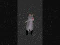 Rat dance
