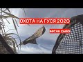 Охота на гуся 2020 весной в ХМАО. АНОМАЛЬНО НЕРЕАЛЬНАЯ ВЕСНА.