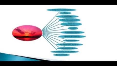 Organisational Theory Lecture 7 - Corporate Social Responsibility