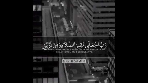 القارئ: سلمان العتيبي مقطع قصير