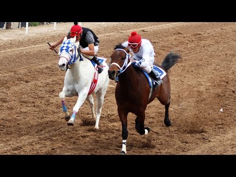 Carreras de caballos 2019