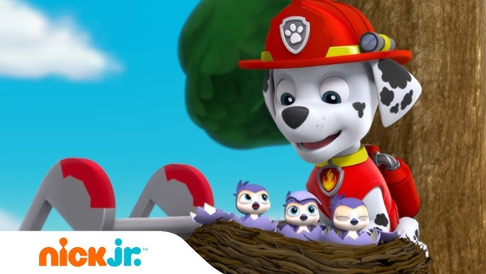 PAW Patrol, Tracker se uno a los cachorros de PAW Patrol 🐶