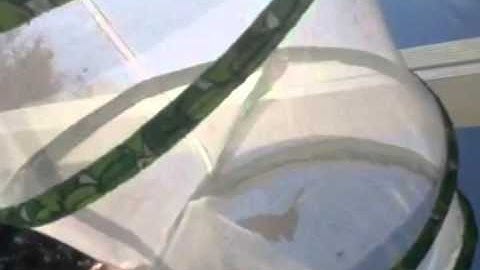 Saving Butterfly from the Web