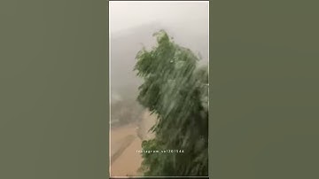 الشيخ القارئ محمد الكردي قال فمن ربكما ياموسى