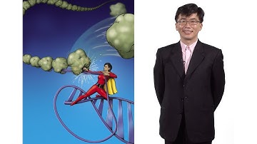 Taekjip Ha (Johns Hopkins / HHMI) 1: Developing single molecule technologies to study nanomachines