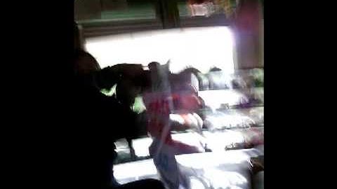 Truy tim tung tich ke lua dao