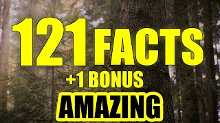 121 Interesting Facts | Random Facts You Never Knew- (+1 Bonus Facts)