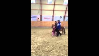 Birkely s hestekurser Fastelavn