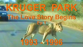 KRUGER NATIONAL PARK : 1990s - Memories of Magic, Awe & Wonder : Episode 1 |mobile is best quality|