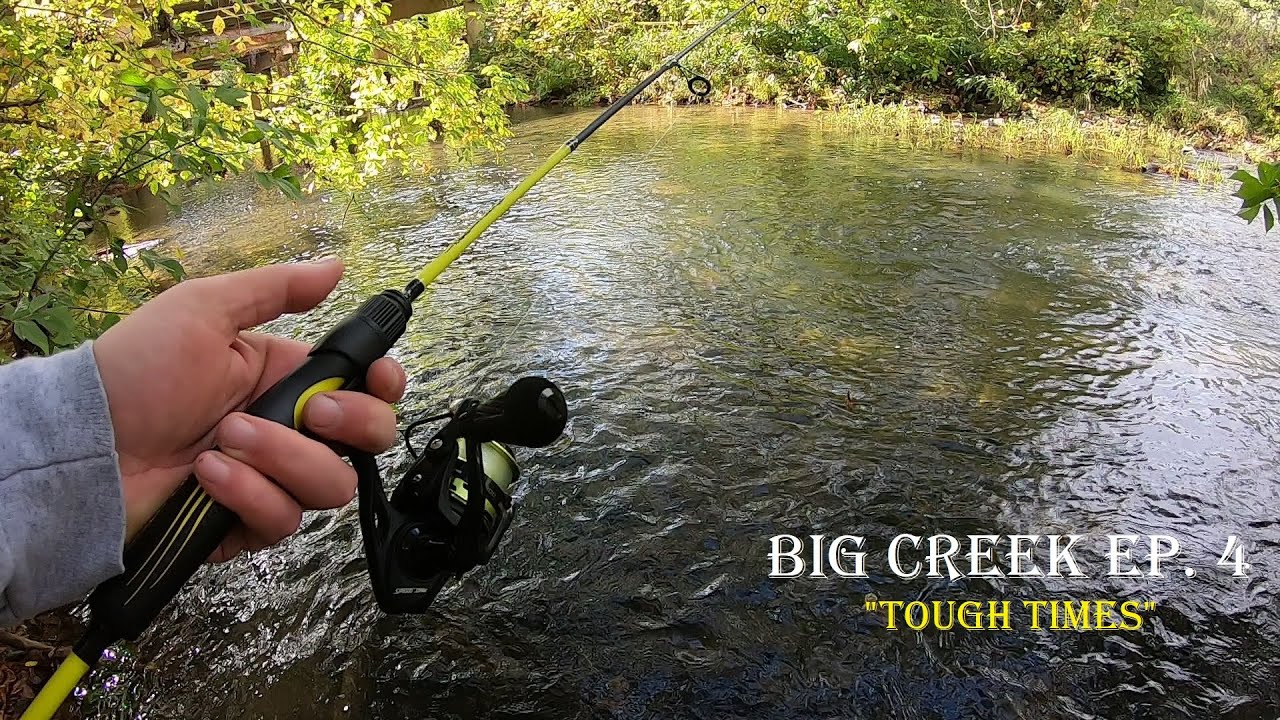 Big Creek Fishing MultiSpecies Ep. 04! Tough Bite! YouTube