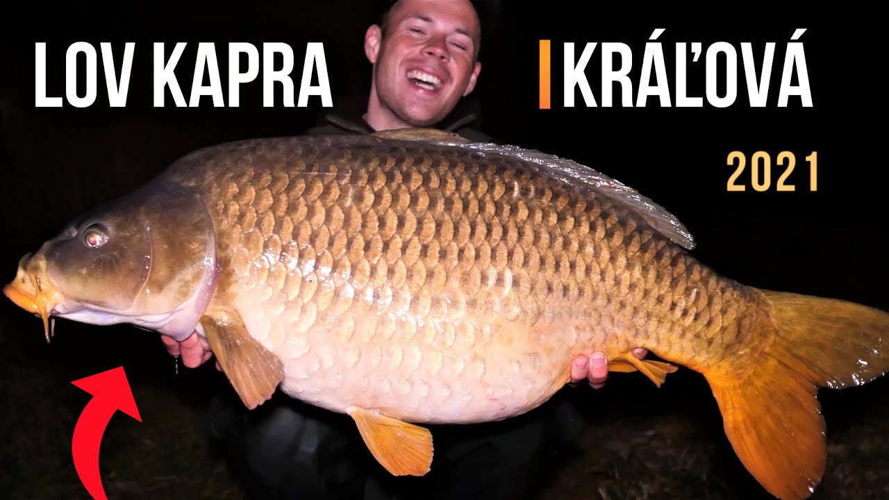 Lov Kapra na Boilies 😱 Vodná Nádrž Kráľová | Rybárske Videá s Demexom 🐋 Sportcarp | Lov Kaprov Kaprů