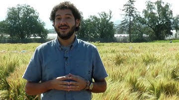 Francelino Rodrigues and precision agriculture