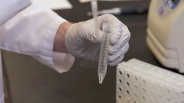 Life Magnetics RNA Extraction visual protocol