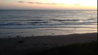 IMG 0534