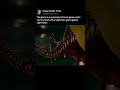 This game is a supernatural horror game where you're armed with a telekinetic glove