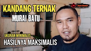 Ukuran kandang ternak batu yang ideal # part01