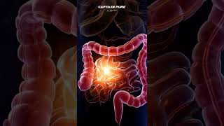 Upgrade Your Water with Captain Pure's Advanced Ionizer Technology